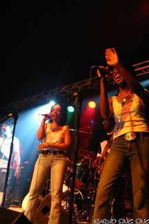 Photo 20 sur 32, Concert Toots and the Maytals du 24 Aout 2005