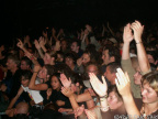 toots web 23