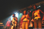 toots web 26