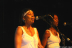 toots web 31