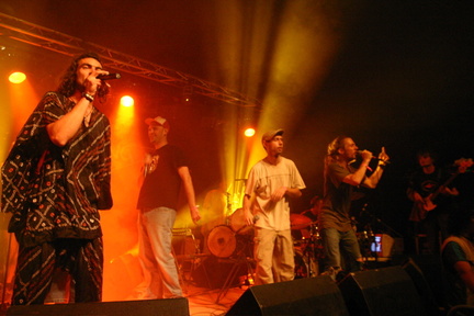 Photo 44 sur 64, Concert du 26 Aout 2005 au Fort Saint Père