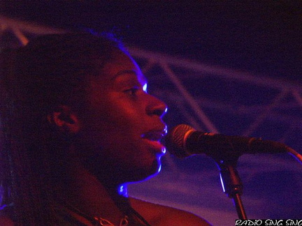 Photo 126 sur 140, Concert Fort St Père StrupX & Chango Family