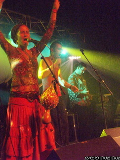 Photo 120 sur 140, Concert Fort St Père StrupX & Chango Family