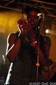 Photo 113 sur 140, Concert Fort St Père StrupX & Chango Family