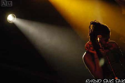 Photo 109 sur 140, Concert Fort St Père StrupX & Chango Family
