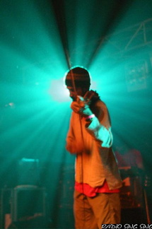 Photo 56 sur 140, Concert Fort St Père StrupX & Chango Family