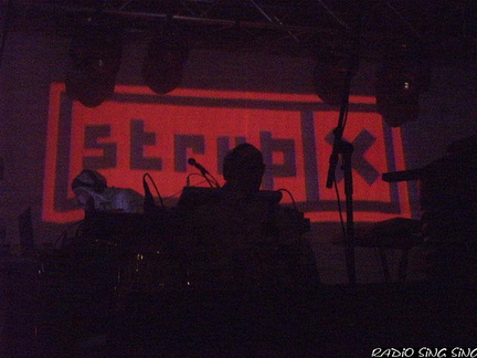 Photo 40 sur 140, Concert Fort St Père StrupX & Chango Family
