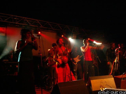 Photo 16 sur 140, Concert Fort St Père StrupX & Chango Family