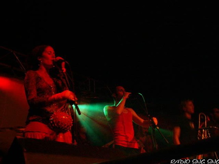 Photo 6 sur 140, Concert Fort St Père StrupX & Chango Family