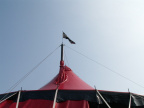 Photothe que 0043