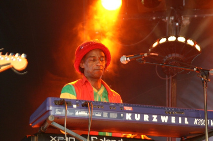 Photo 30 sur 91, Concert Groundation 02/07/06