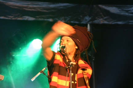 Photo 33 sur 91, Concert Groundation 02/07/06