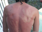 PICT2474