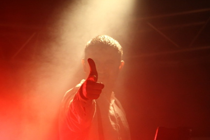 Photo 55 sur 69, HK & Les Saltimbanks le 24 aout 2012